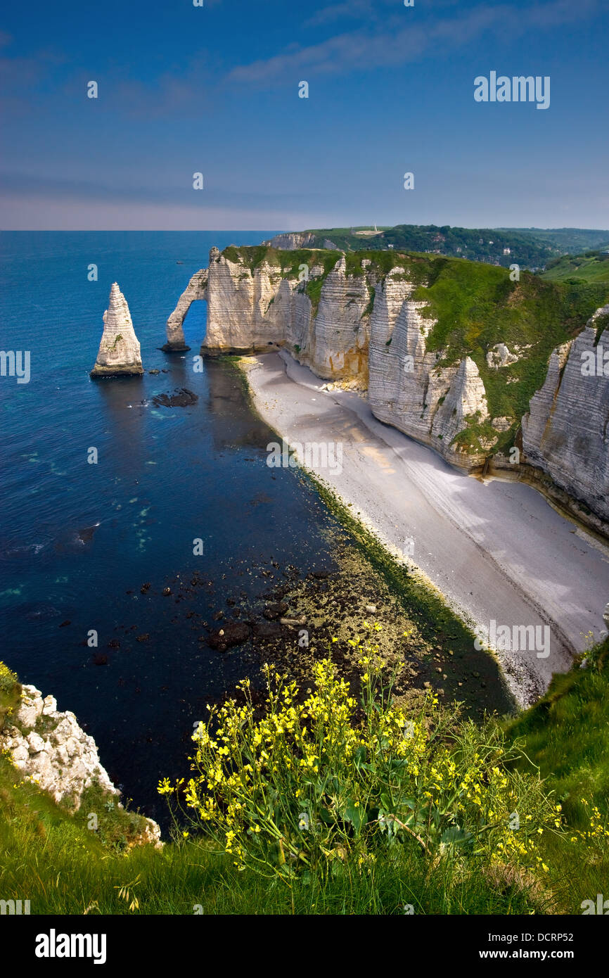 The cliffs of Etretat on the Normandy coast, France Stock Photo - Alamy