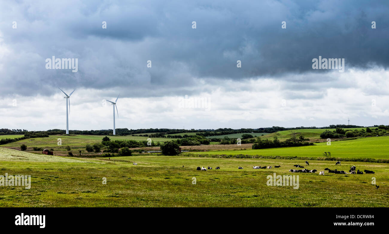 Herd of cows resting in a meadow with wind turbines Stock Photo - Alamy