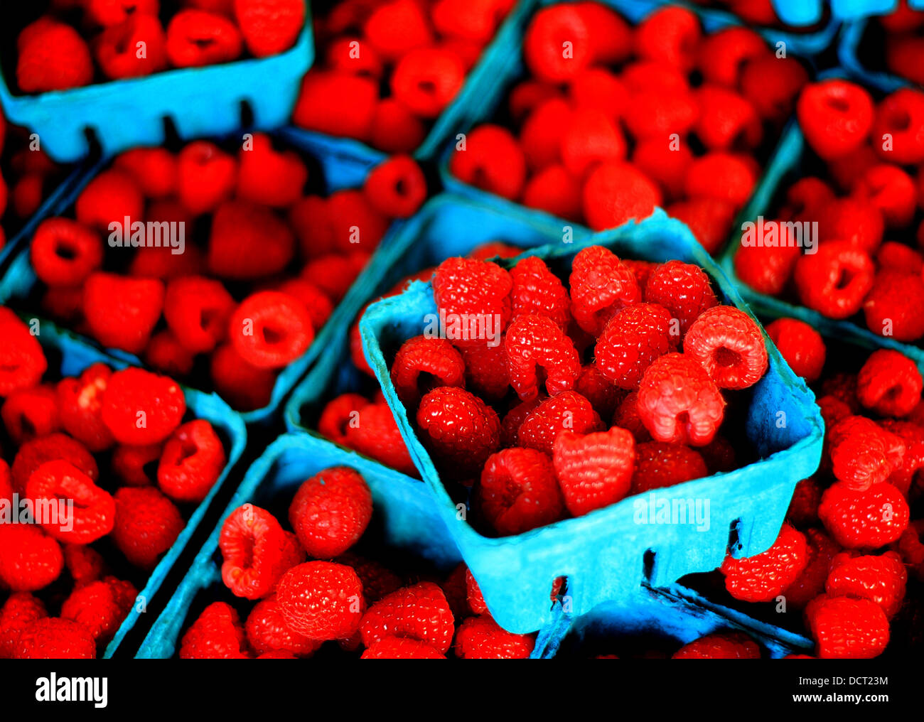 Plump berries in bins on display for sale at the market Stock Photo