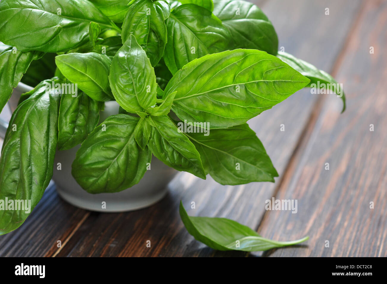 fresh green basil on a wooden table closeup Stock Photo
