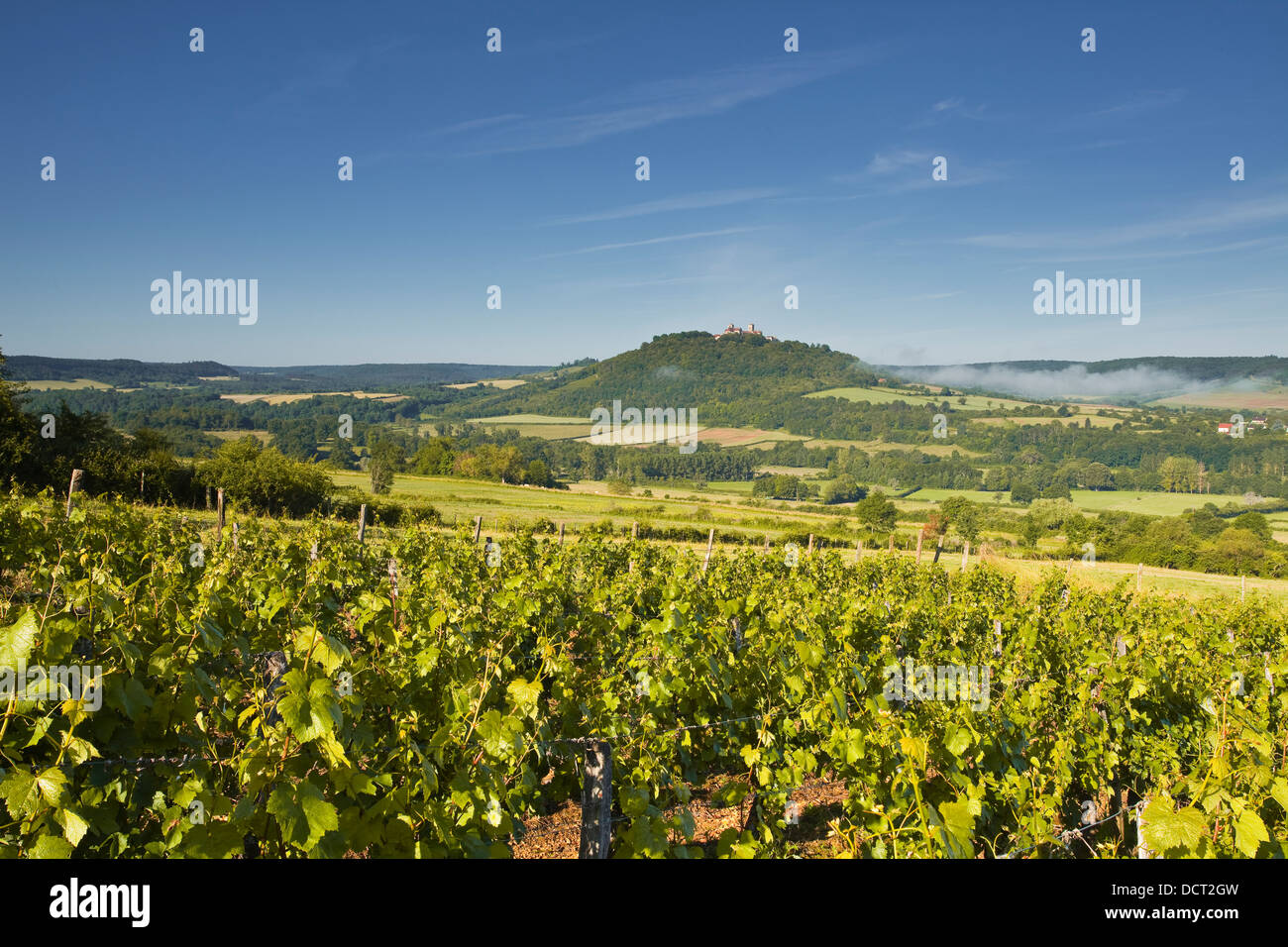 Vineyards near to the hilltop village of Vezelay in the Yonne area of Burgundy. Stock Photo