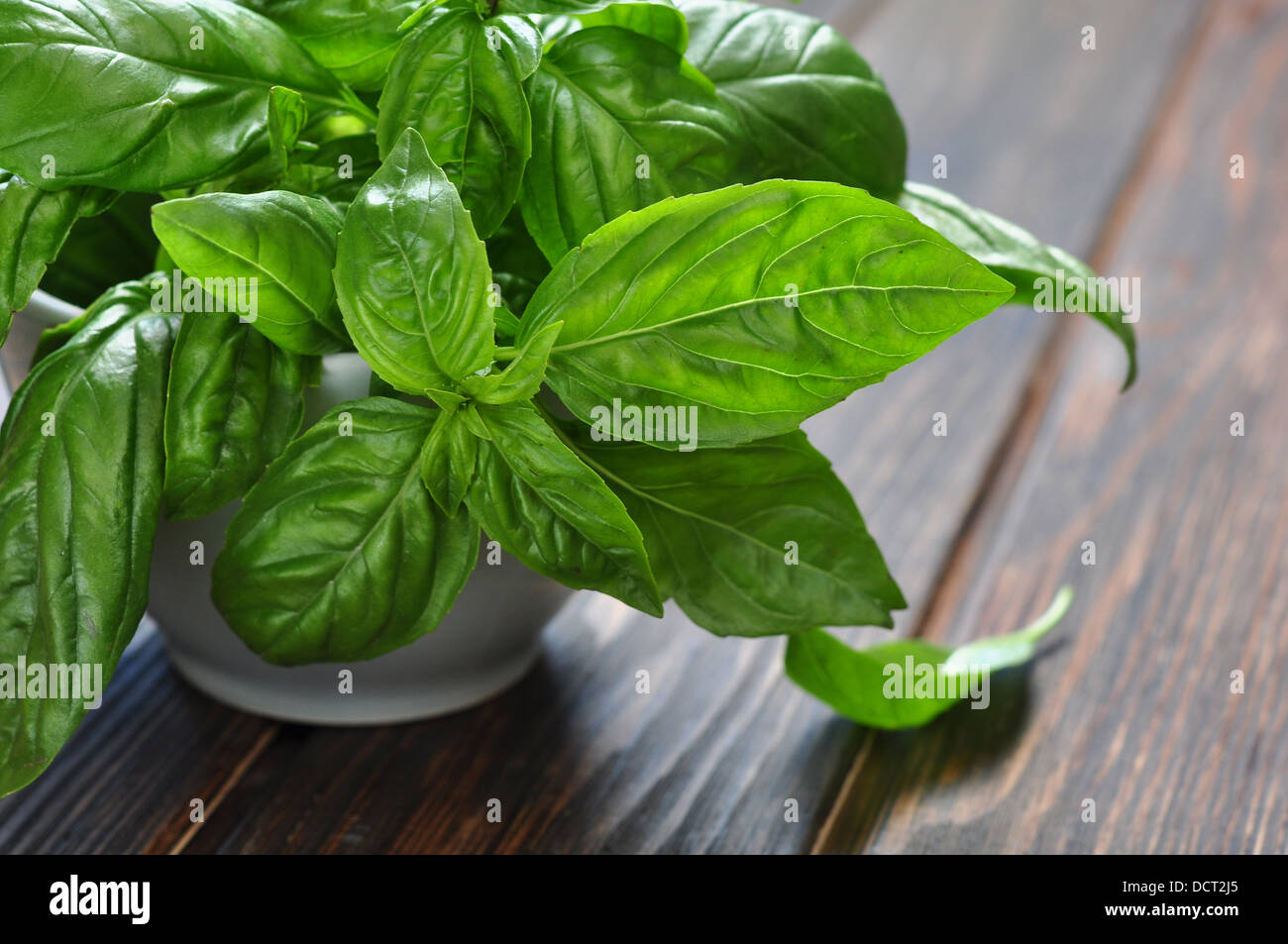 fresh green basil on a wooden table closeup Stock Photo