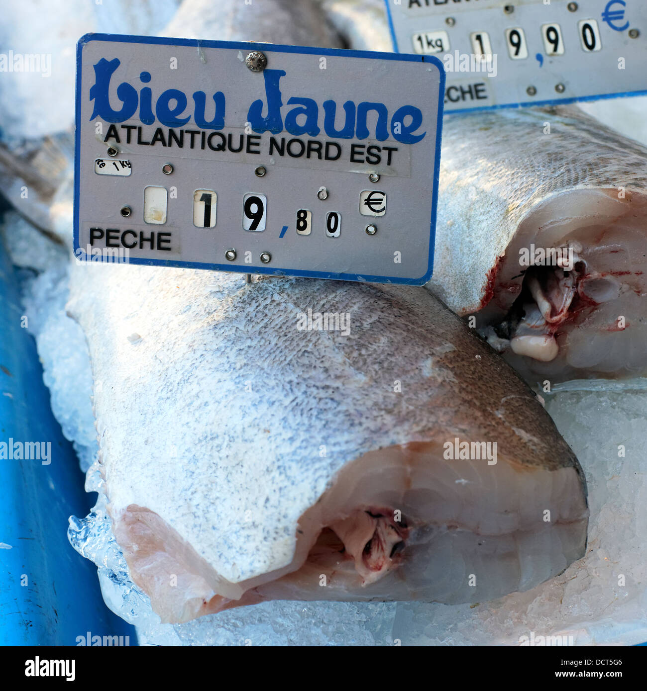 Fishes on a market Stock Photo