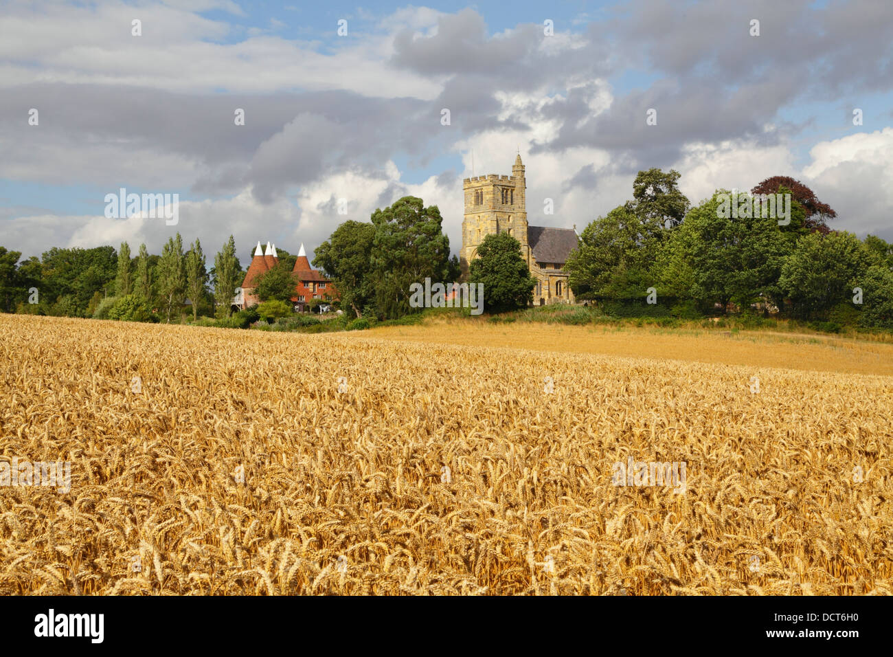 Harvest time in Kent UK. Horsmonden Church and Oast Houses, Kent, England, UK in Wealden Countryside Stock Photo