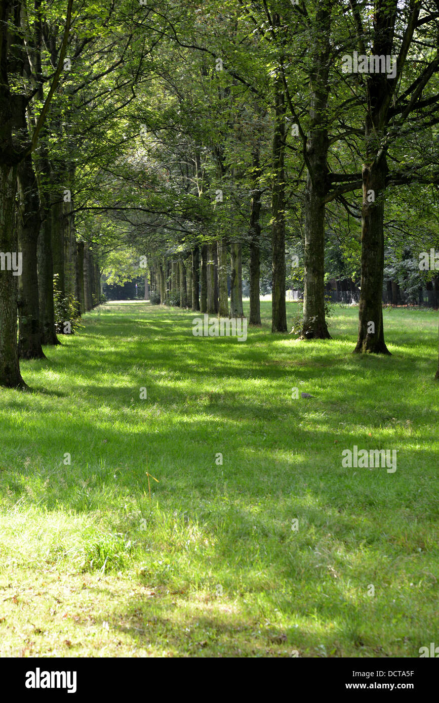 Landscape in a park hi-res stock photography and images - Alamy