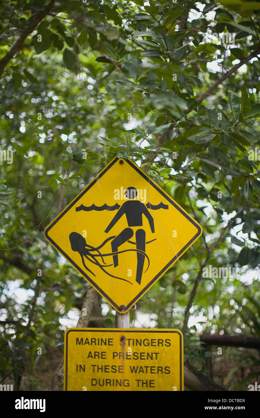 Sign Warning About Marine Stingers; Daintree Rainforest, Queensland, Australia Stock Photo