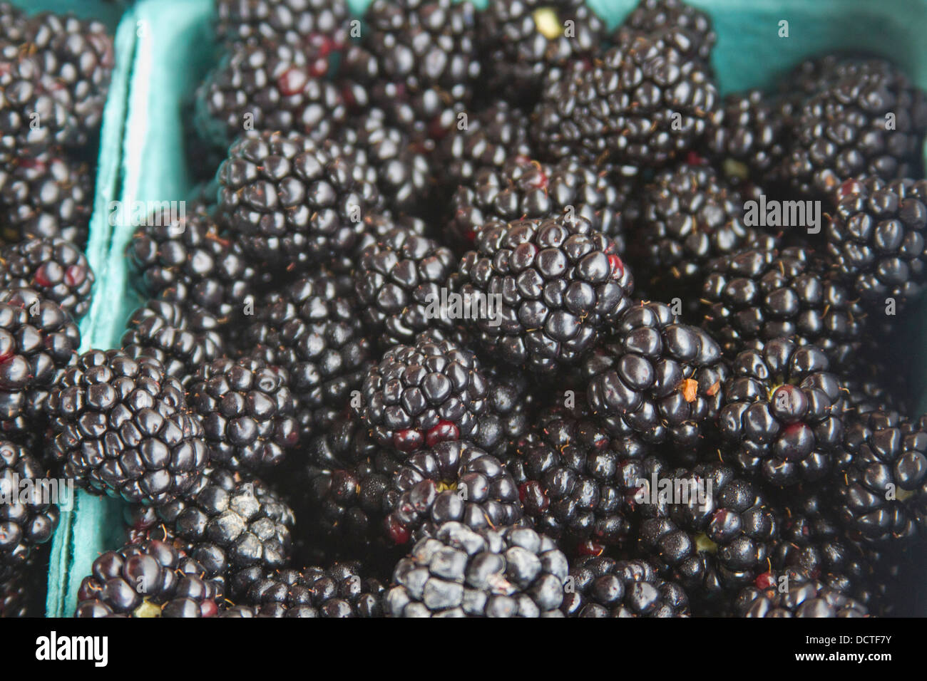 Container of blackberries hi-res stock photography and images - Alamy