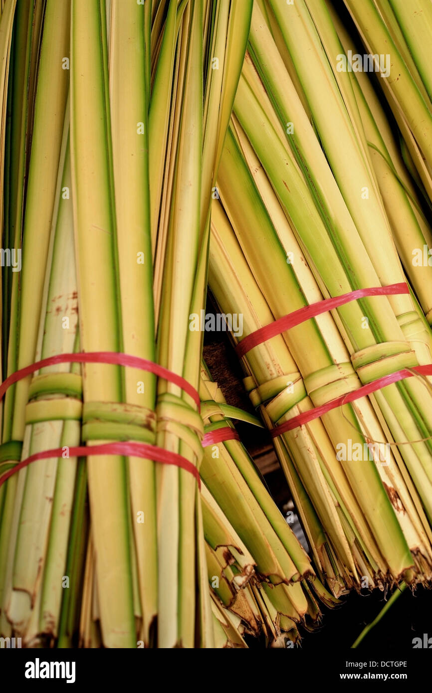 Bundle of reeds hires stock photography and images Alamy