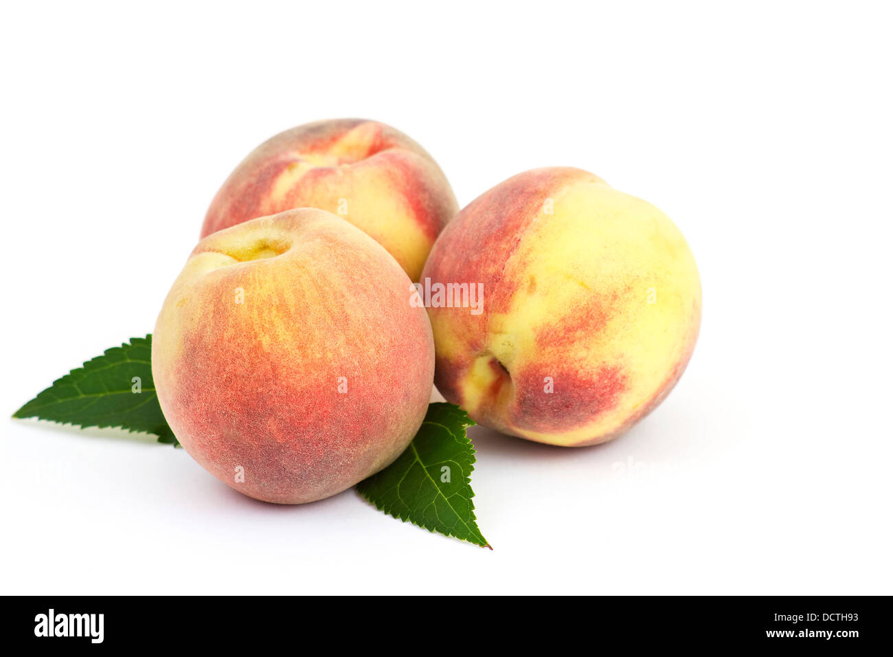 Conillon hi-res stock photography and images - Alamy