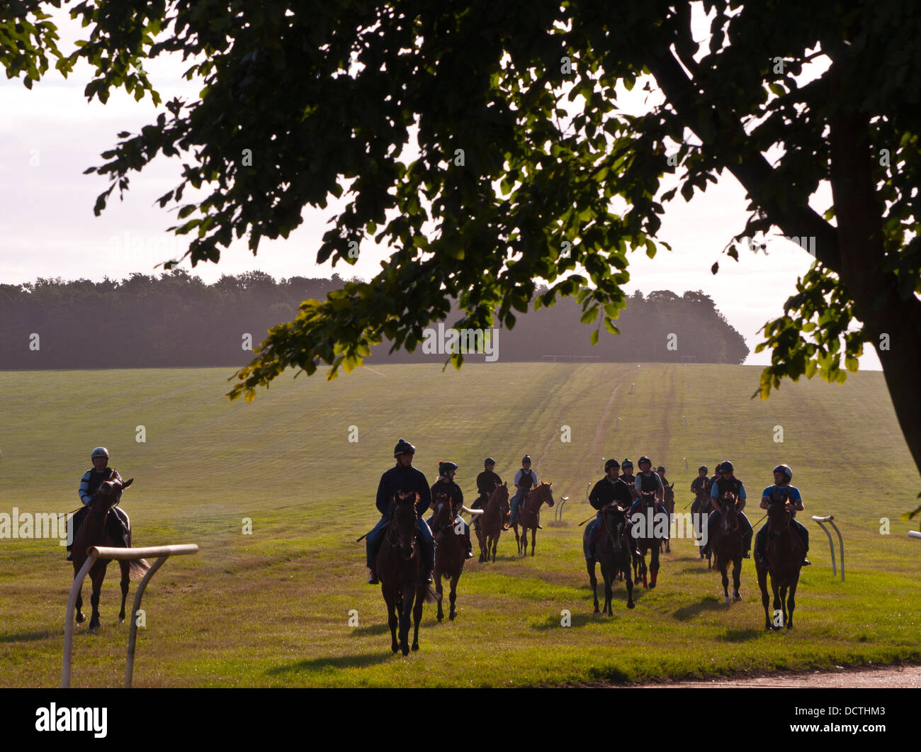 Race horses return from morning on Exercise Gallops Stock Photo