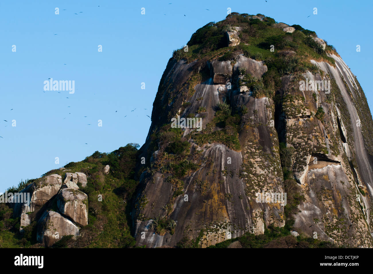 Alcatrazes islands, shore of Sao Paulo state, Brazil. Stock Photo