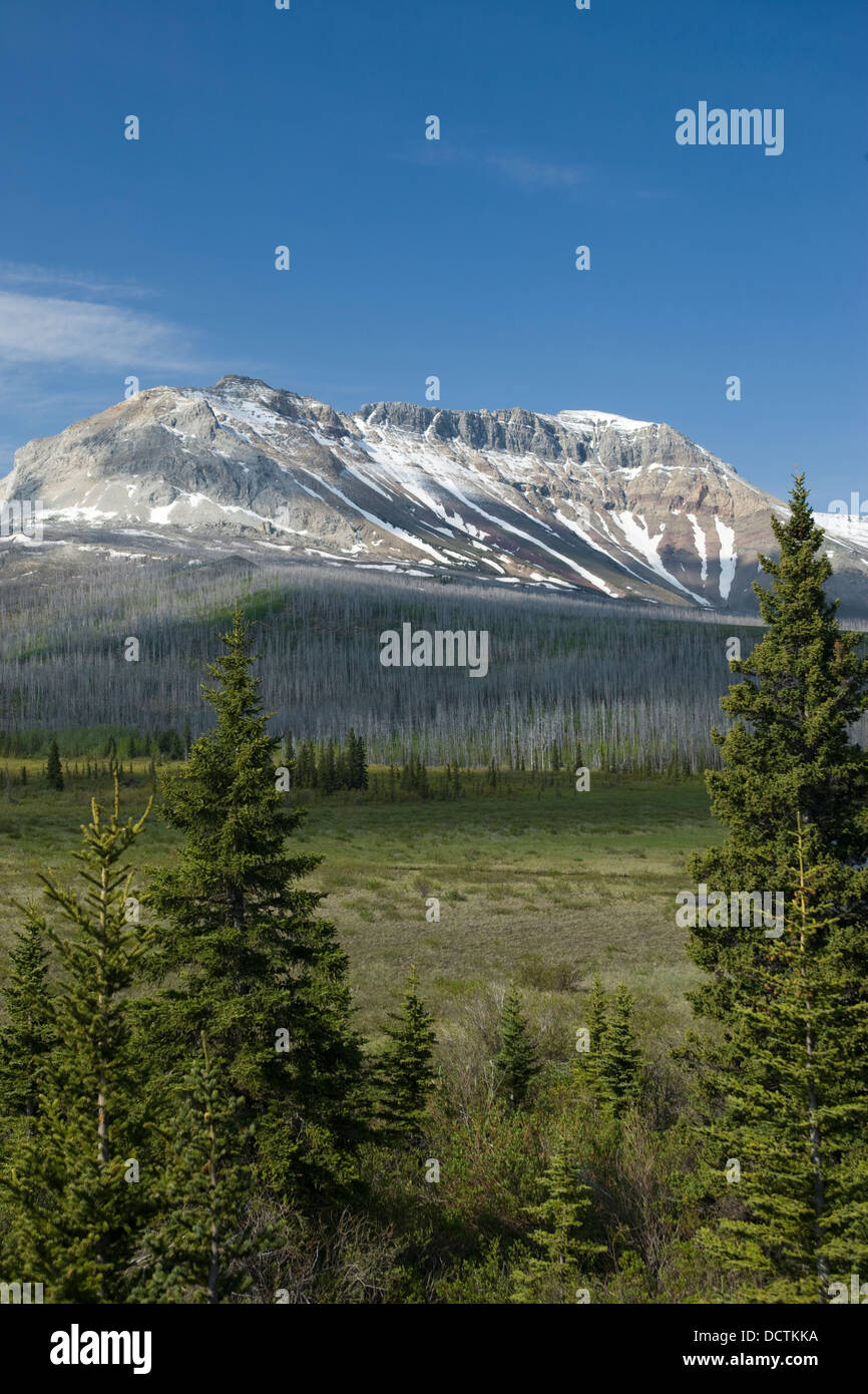 SOFA MOUNTAIN WATERTON LAKES NATIONAL PARK ALBERTA CANADA Stock Photo