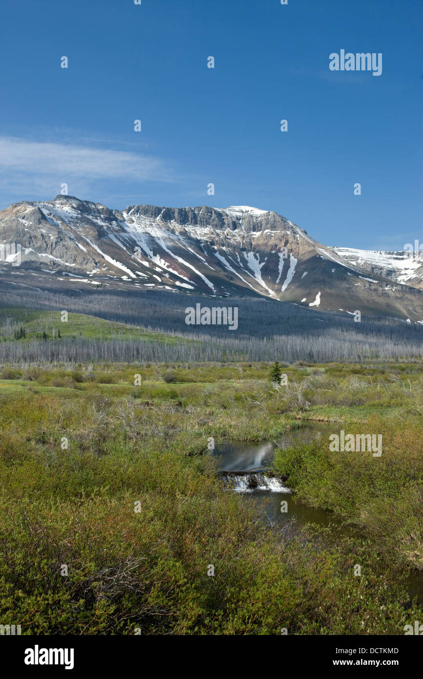 SOFA MOUNTAIN WATERTON LAKES NATIONAL PARK ALBERTA CANADA Stock Photo