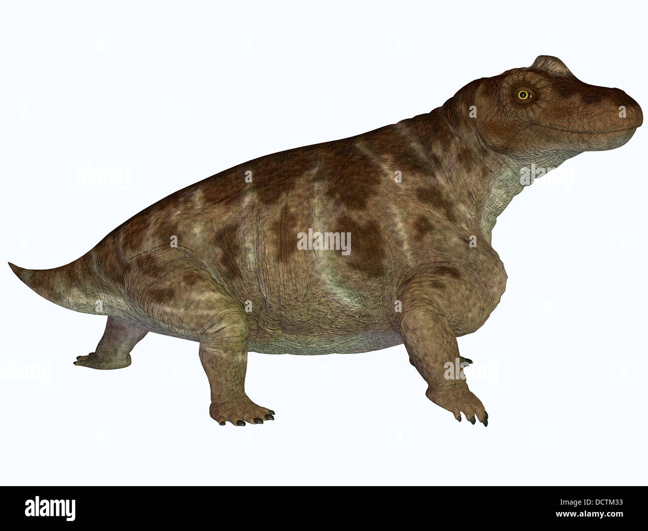 Herbivore dinosaur hi-res stock photography and images - Alamy Herbivore dinosaur hi-res stock photography and images - Alamy
