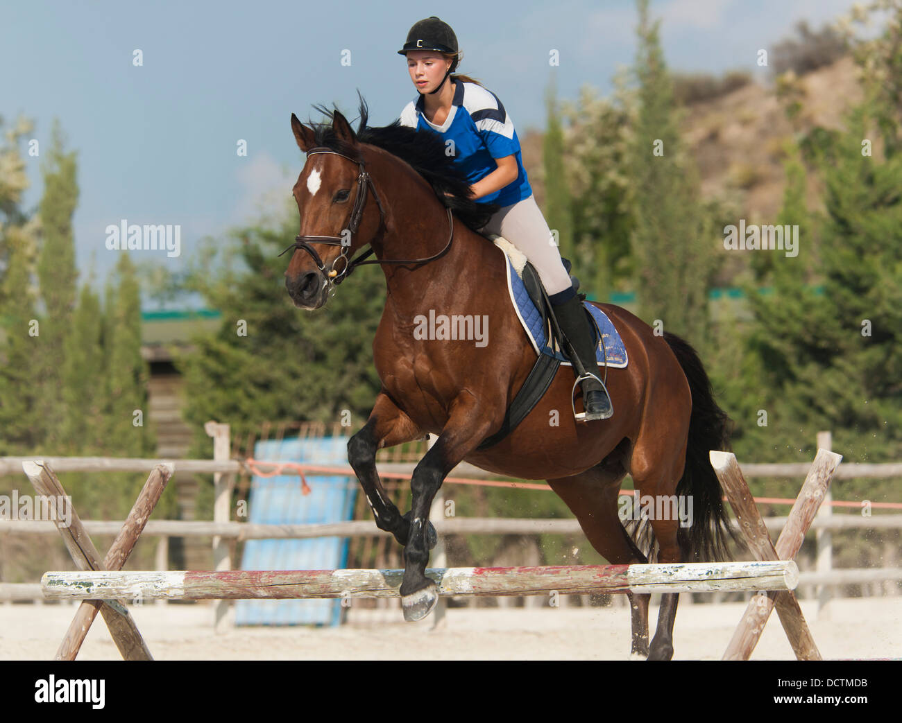 Female horse uniform hi-res stock photography and images - Alamy