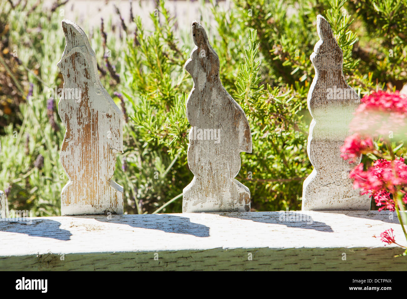 fence with rails that look like quail, Heart's Ease Gardens, Cambria, California, United States of America Stock Photo