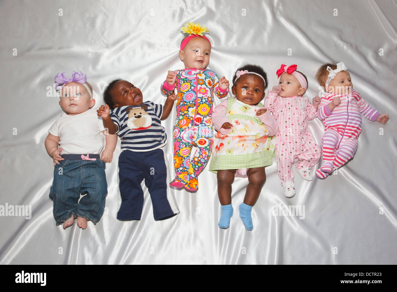 Six Babies Lined Up Laying On Their Backs; Portland, Ontario, Canada