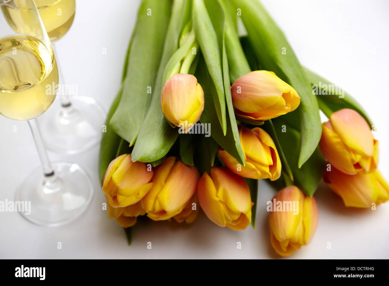 3+ Thousand Champagne Tulip Royalty-Free Images, Stock Photos & Pictures