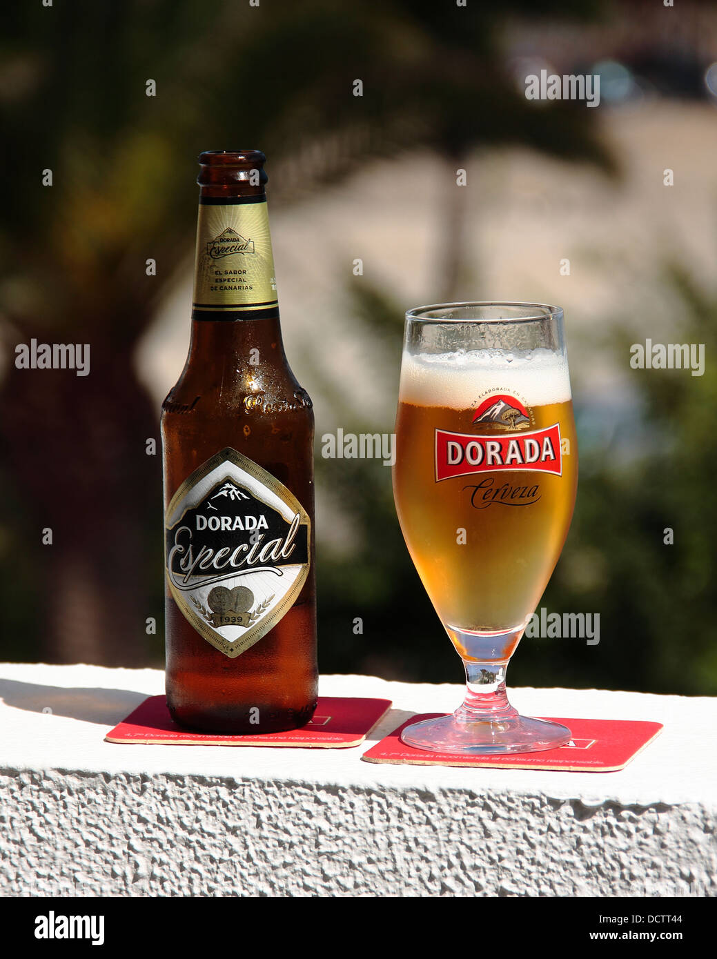 Dorada Especial, beer brewed in Tenerife, Canary Islands Stock Photo Alamy