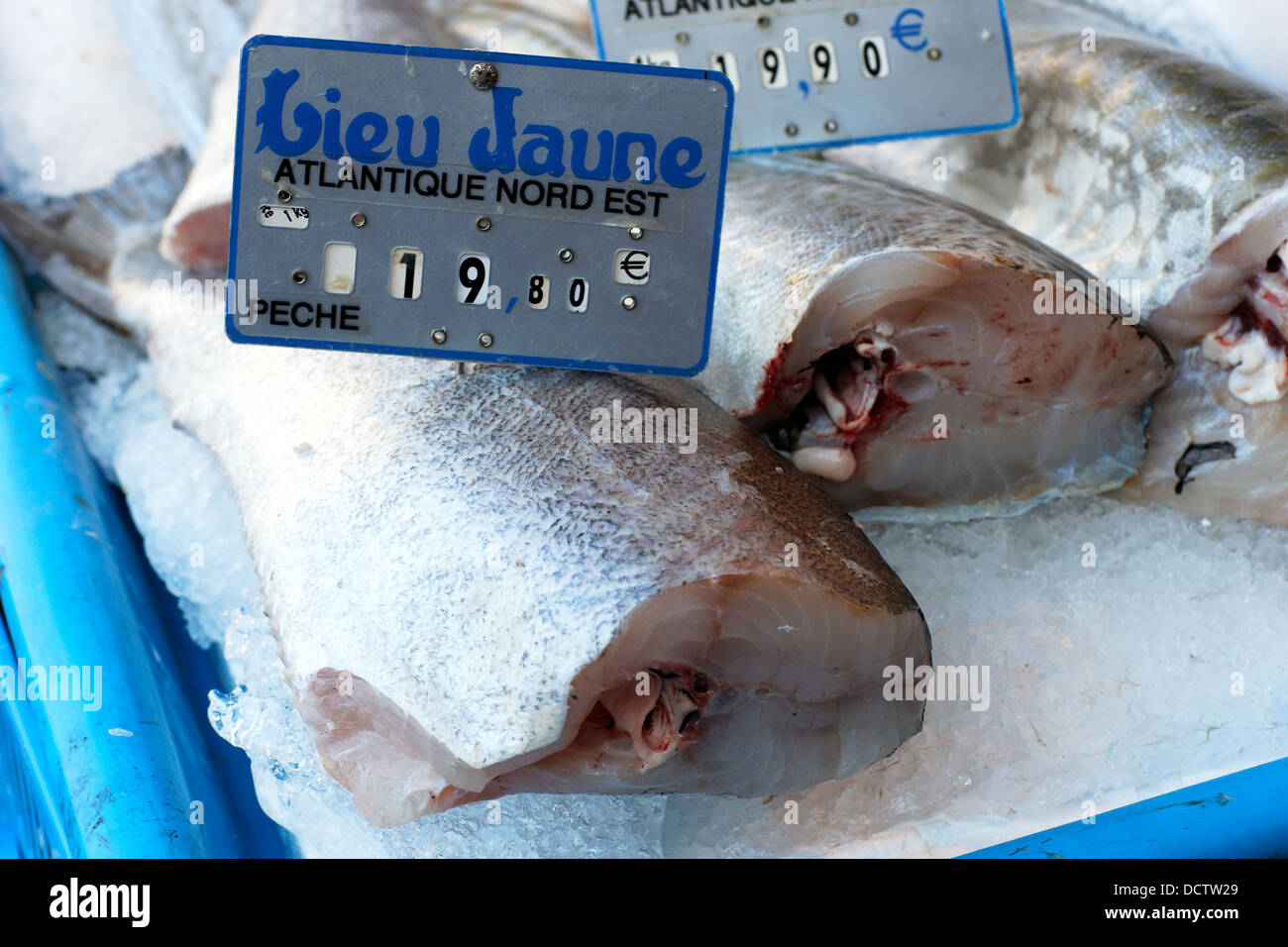 fish market Stock Photo