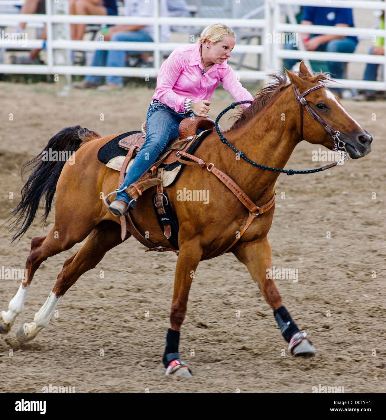 Cowgirl on horseback riding in the ladies barrel racing event, Chaffee County Fair & Rodeo Stock Photo
