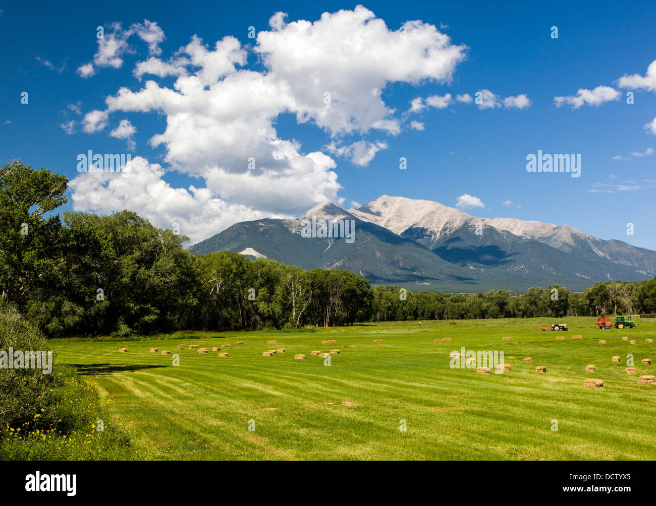 Farm fields and Collegiate Peaks, Rocky Mountains, beyond.  Near Buena Vista, Colorado, USA Stock Photo