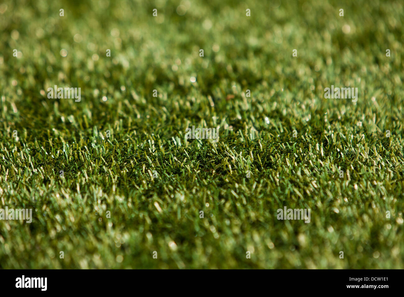 Grass close up Stock Photo - Alamy
