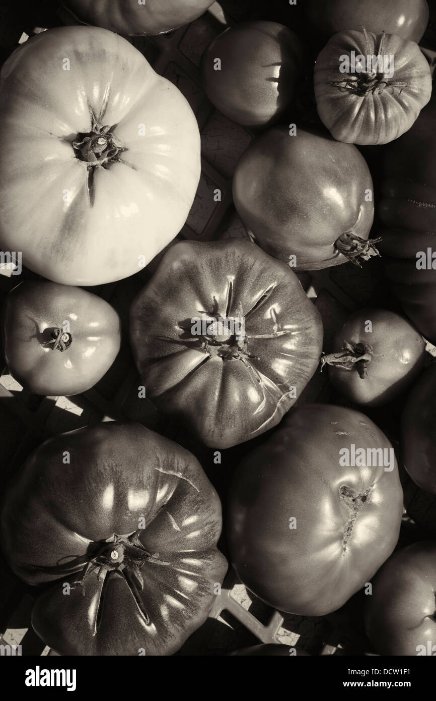 Heirloom tomato display, farm market, Vermont, New England, USA Stock Photo