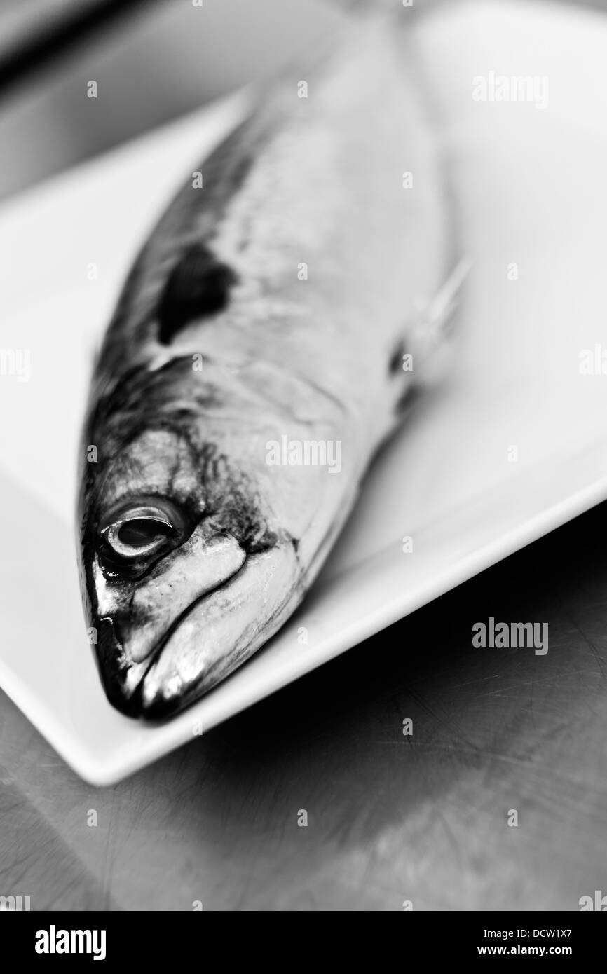 Fish on a plate Stock Photo