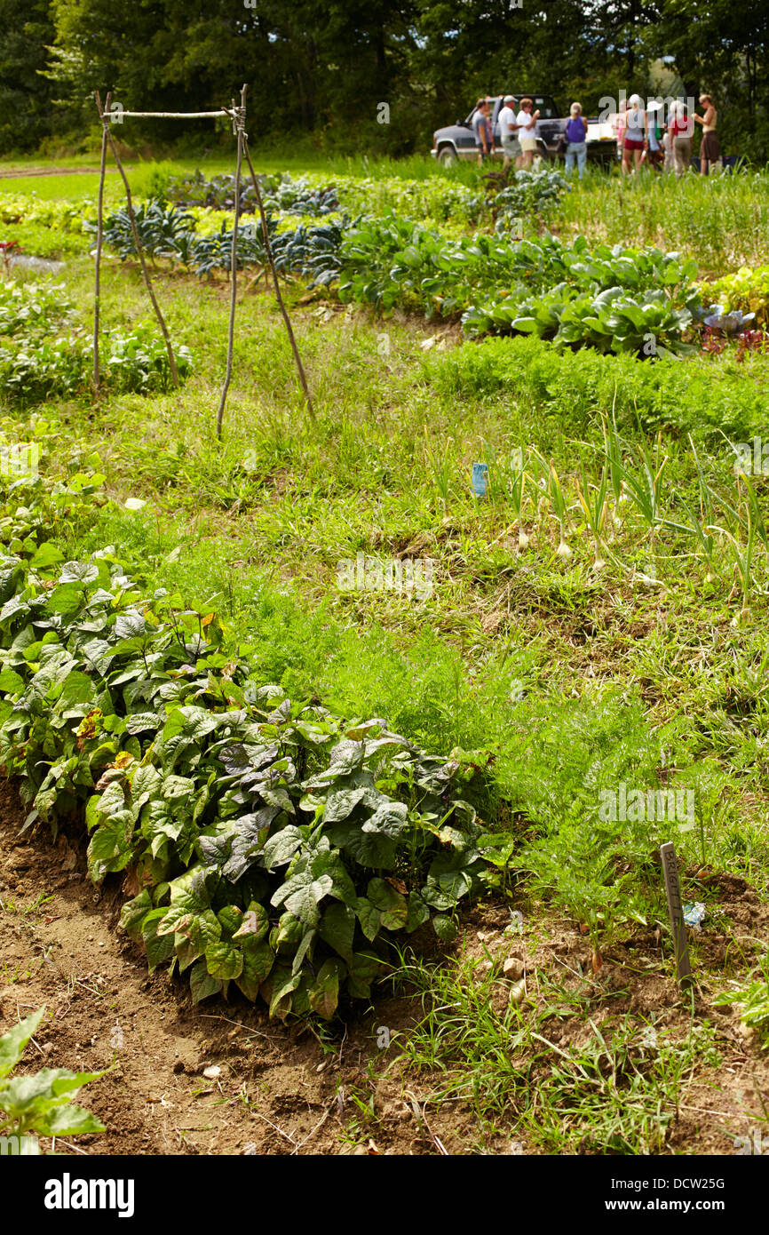 vegetable fields at High Mowing Seeds in Hardwick, Vermont, USA Stock Photo