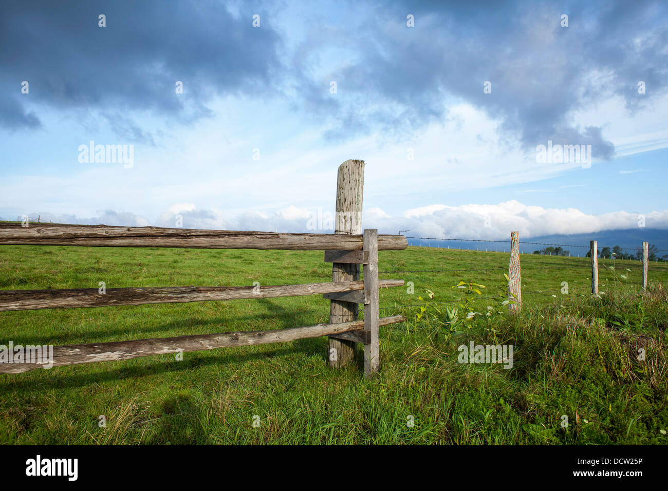 Sustainable fencing hi-res stock photography and images - Alamy