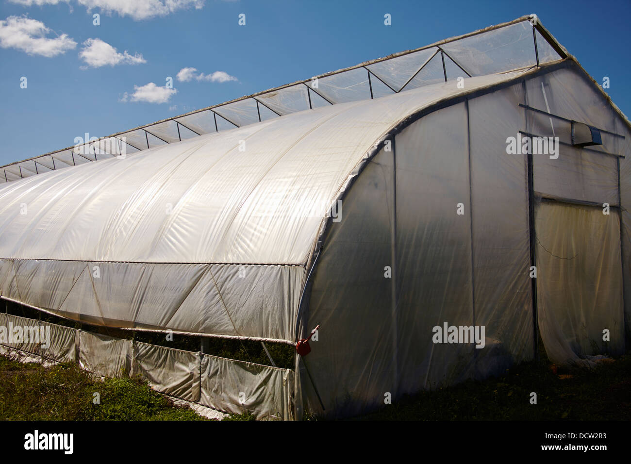 Greenhouse at Pete's Greens Farm in Craftsbury, Vermont, New England