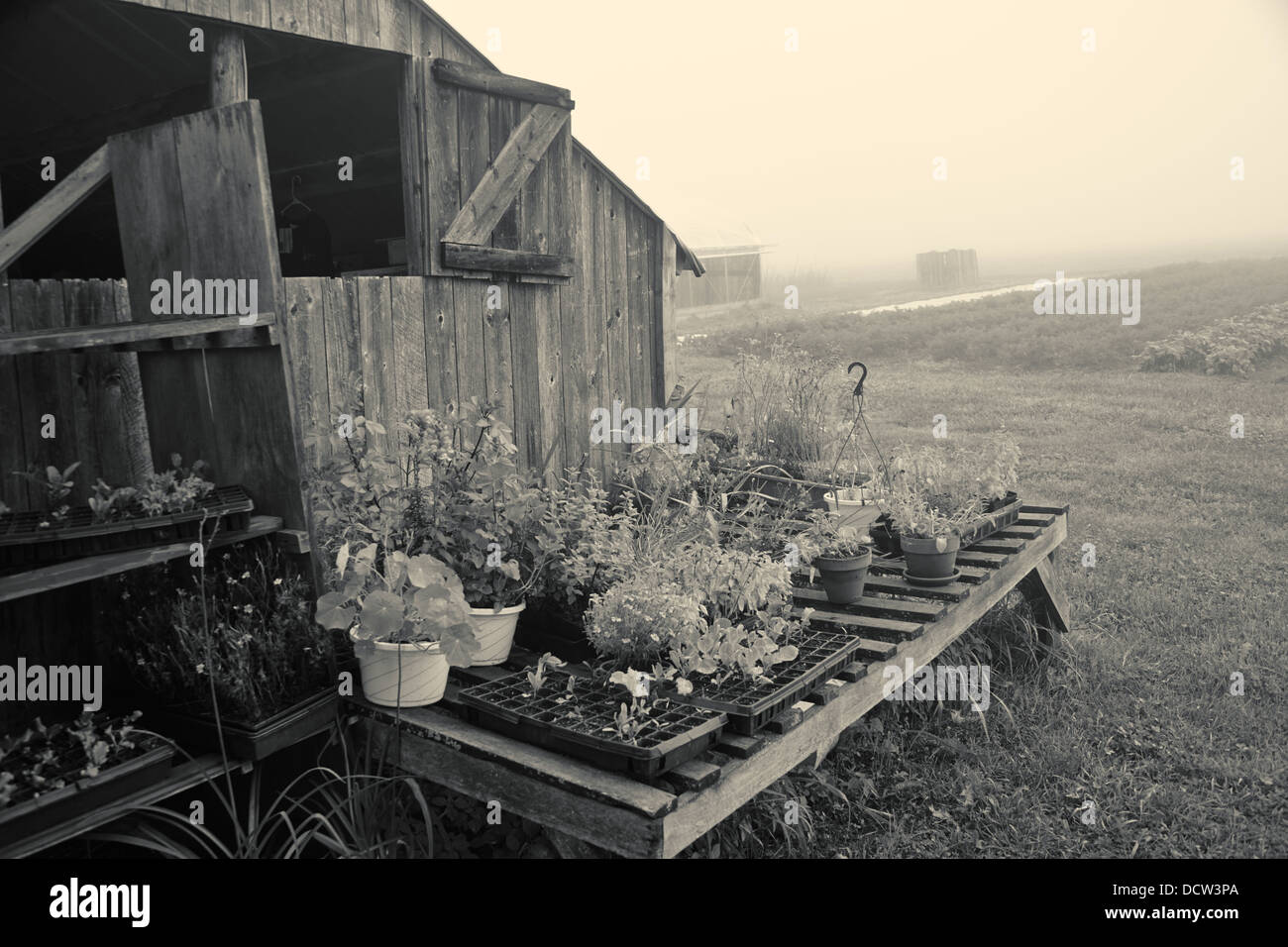 Classic new england farm hi-res stock photography and images - Alamy