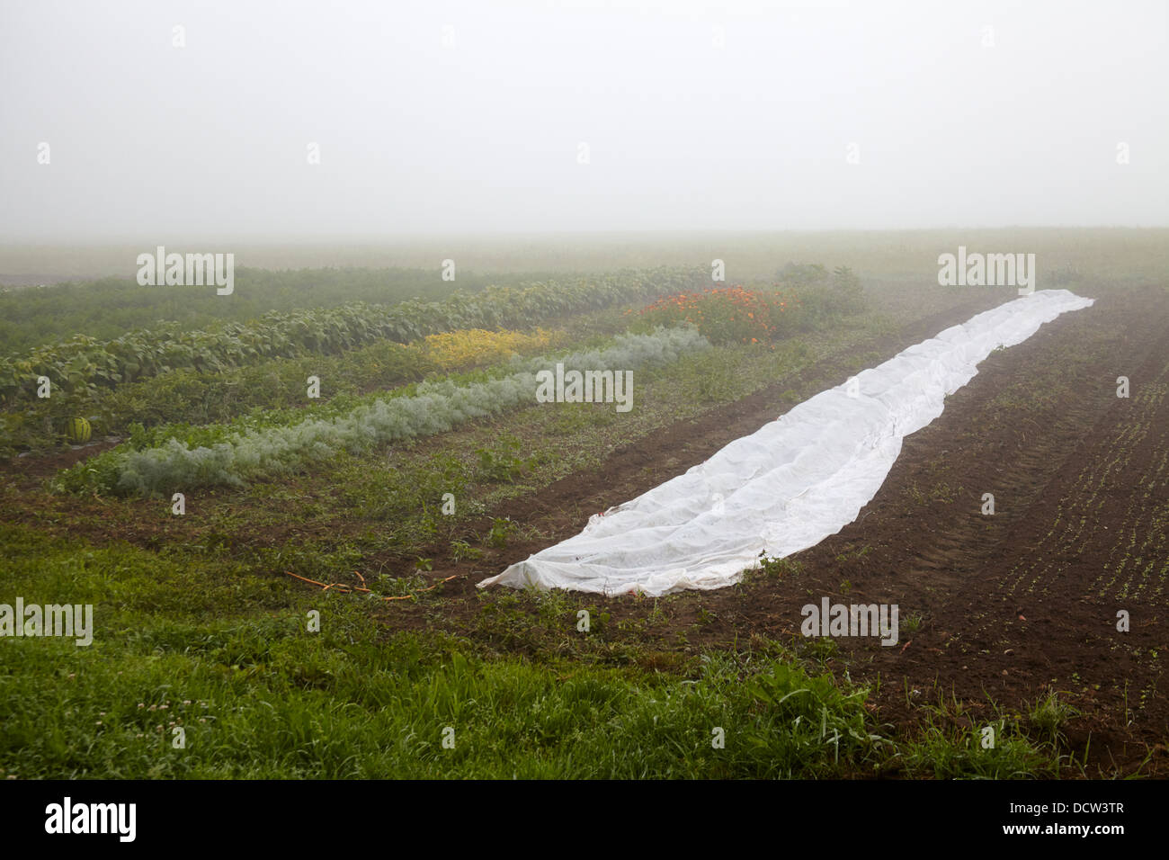 Classic new england farm hi-res stock photography and images - Alamy