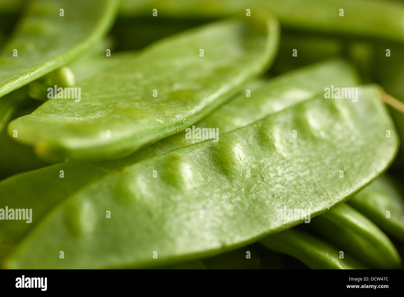fresh snow peas Stock Photo