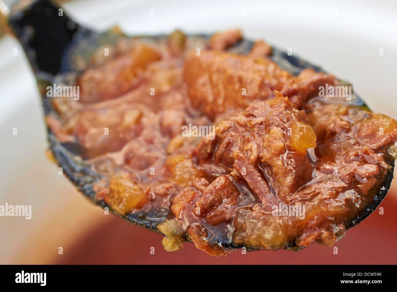 A spoonful of Armenian Goat Stew Stock Photo