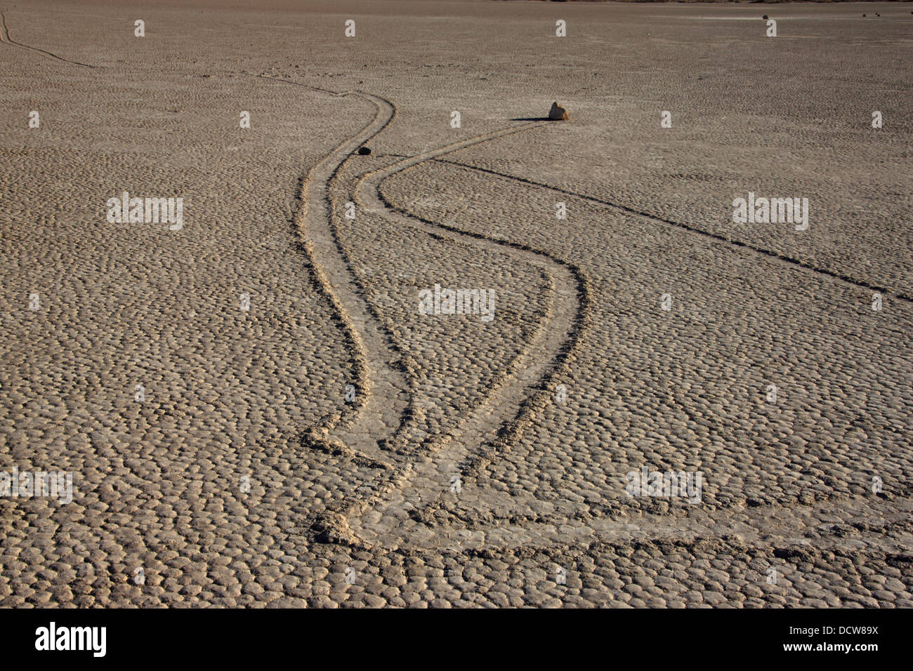 Sailing stones in Death Valley National Park Stock Photo Alamy