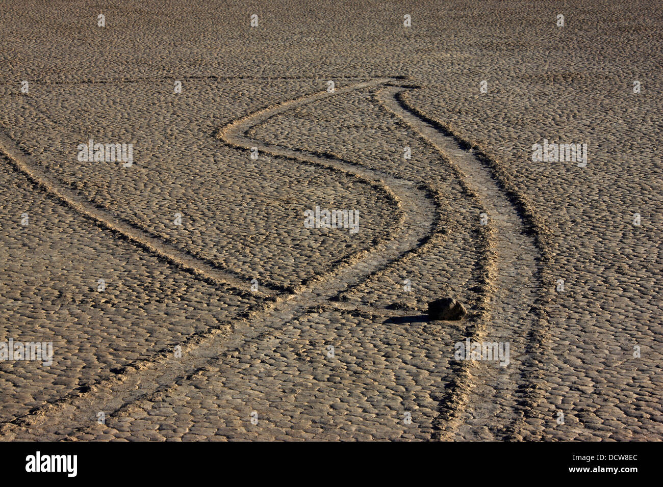 Sailing stones in Death Valley National Park Stock Photo - Alamy