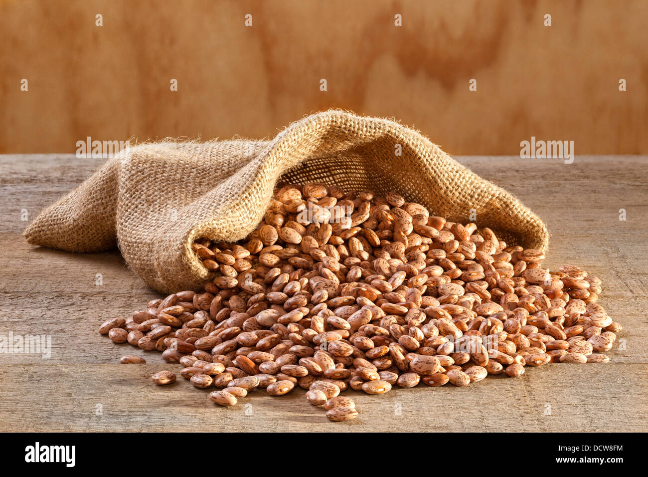 Pinto Beans in Sack - raw pinto beans spilling from a burlap or jute sack. Stock Photo