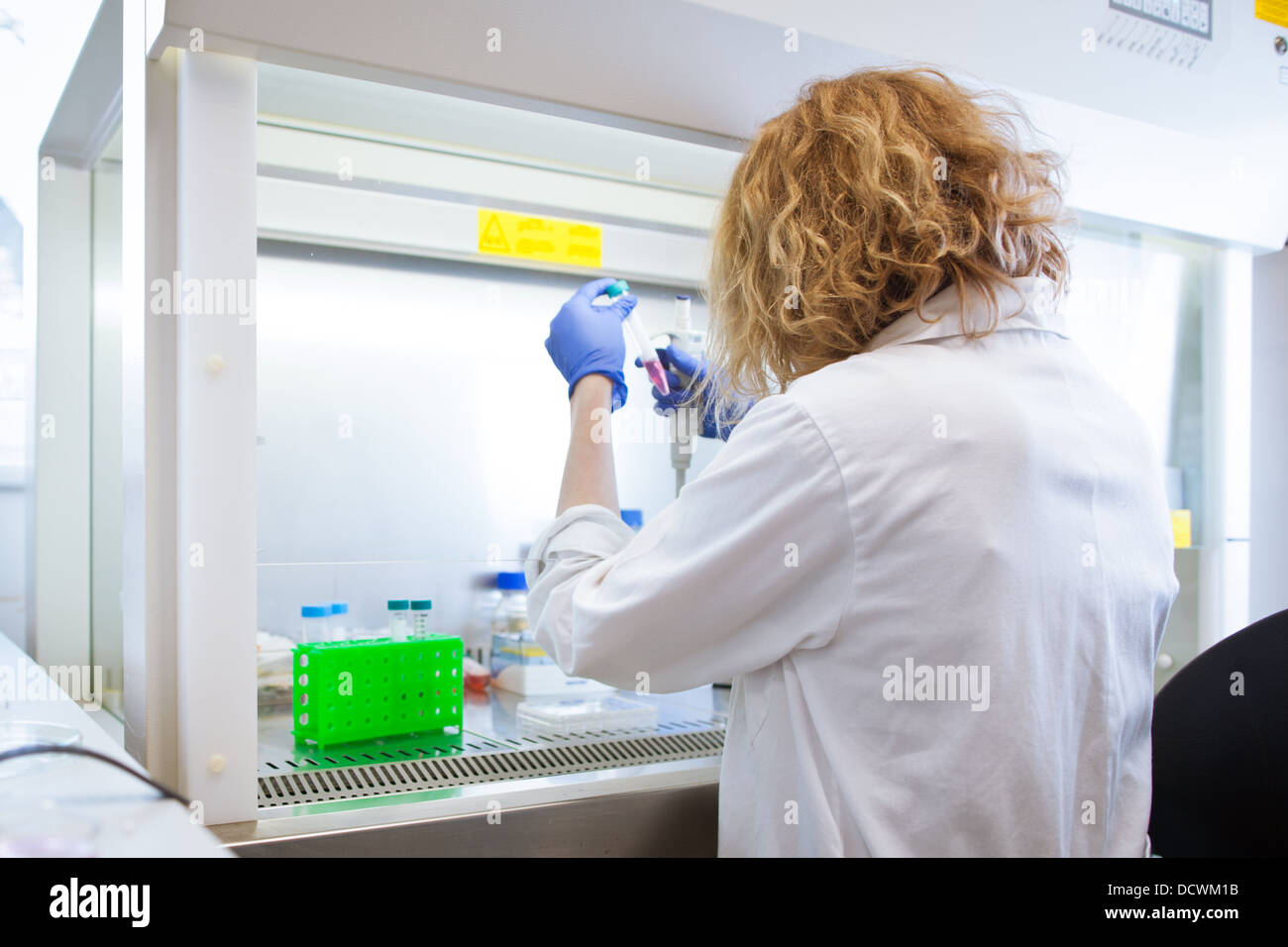 female researcher doing research in a lab Stock Photo - Alamy