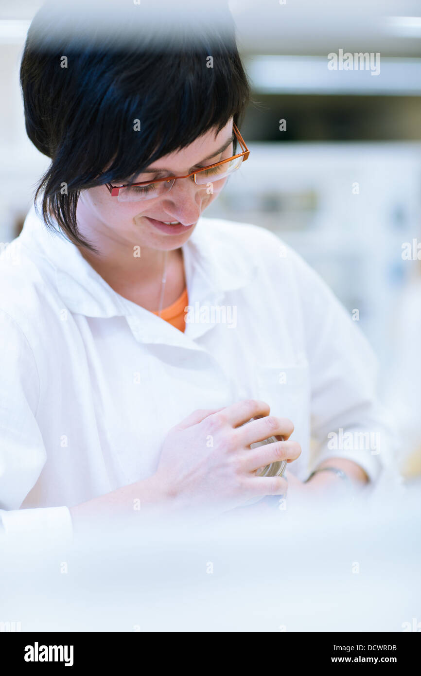 female researcher carrying out research in a chemistry lab Stock Photo ...
