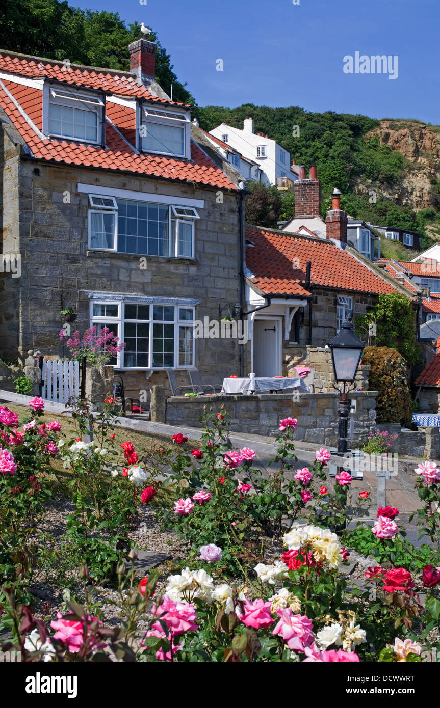 Traditional stone holiday cottages with red tiled roofs at Runswick Bay, rose garden in foreground, North Yorkshire England  UK Stock Photo
