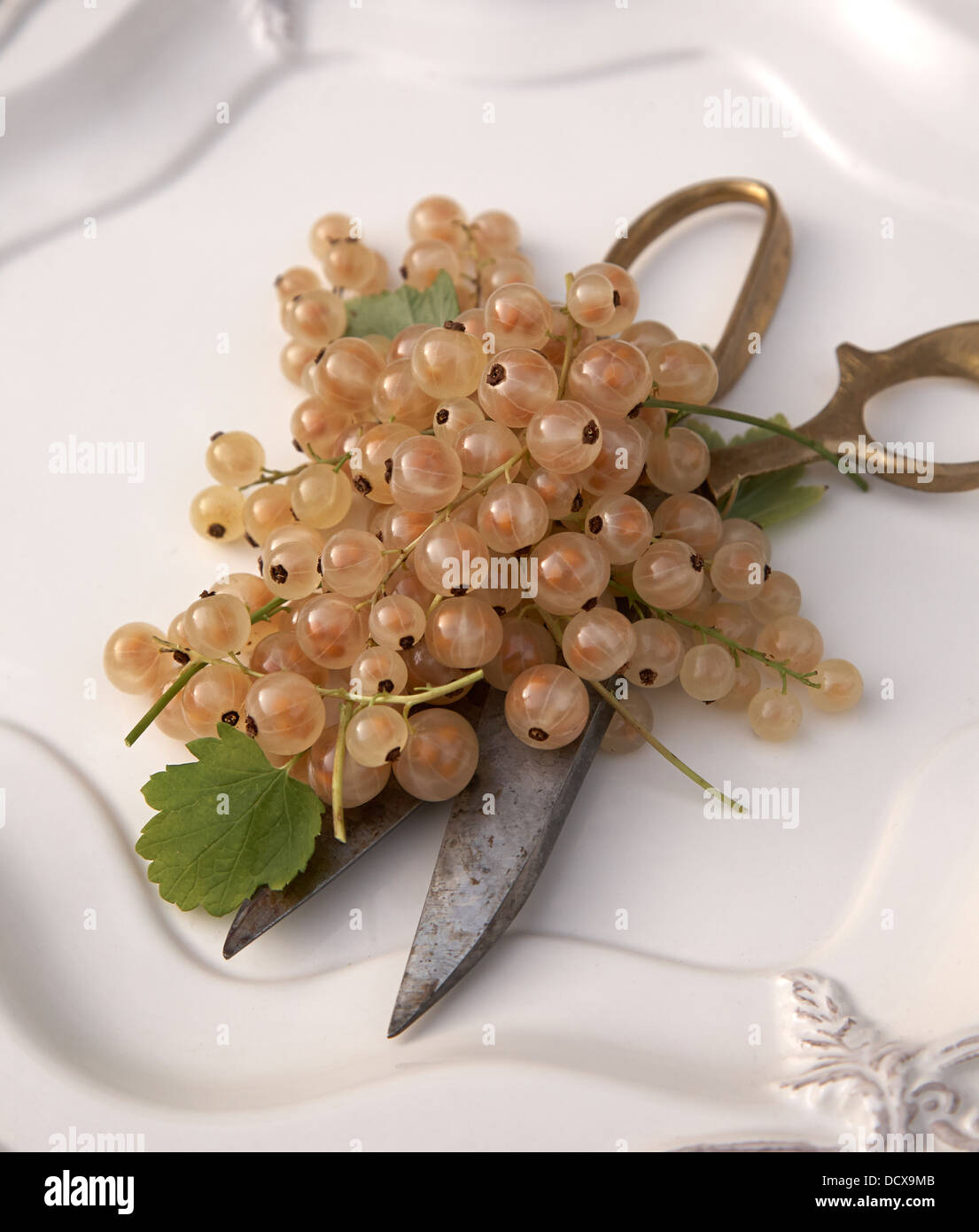 white currants on scissors on a white plate Stock Photo