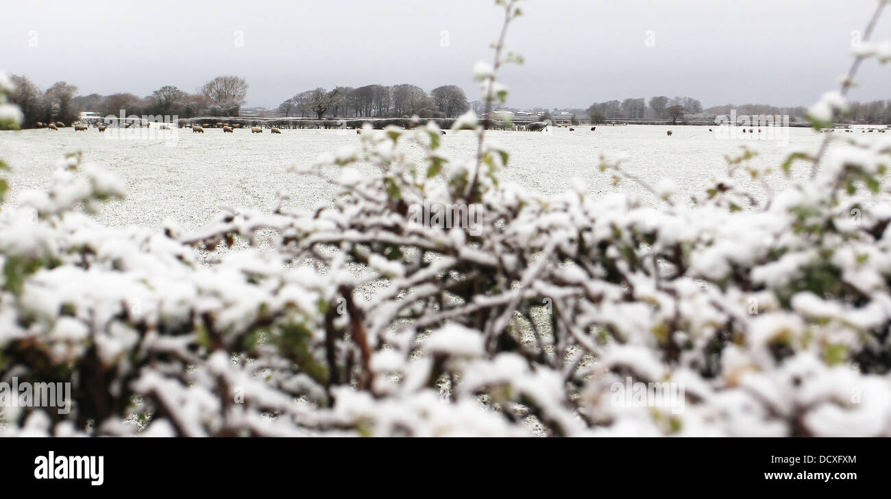 The North-West of England awoke to a blanket of snow this morning (16Dec11) as the winter temperatures gradually decline.  Lancashire, England - 16.12.11 Stock Photo