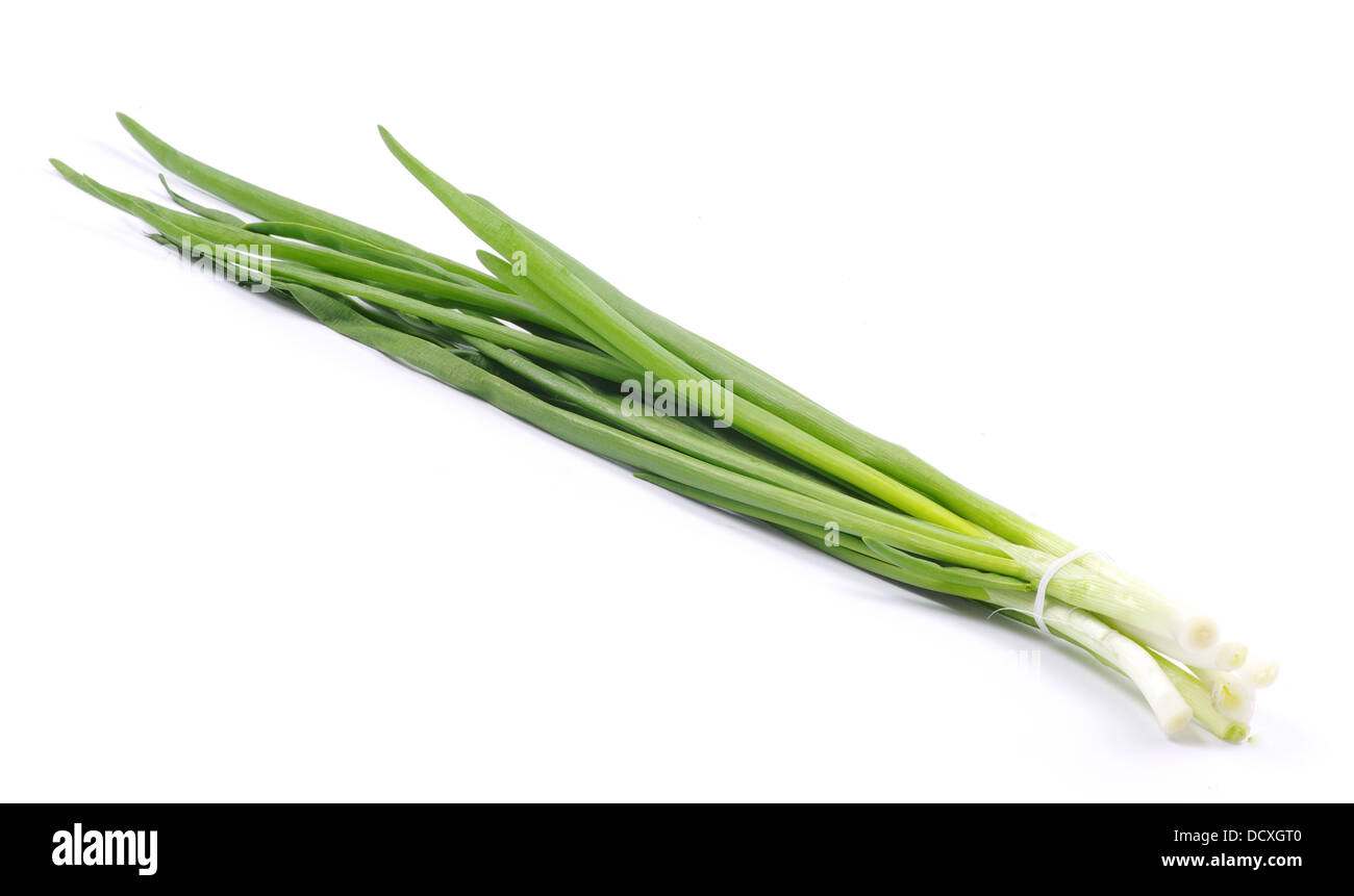 Onion plants Cut Out Stock Images & Pictures - Alamy