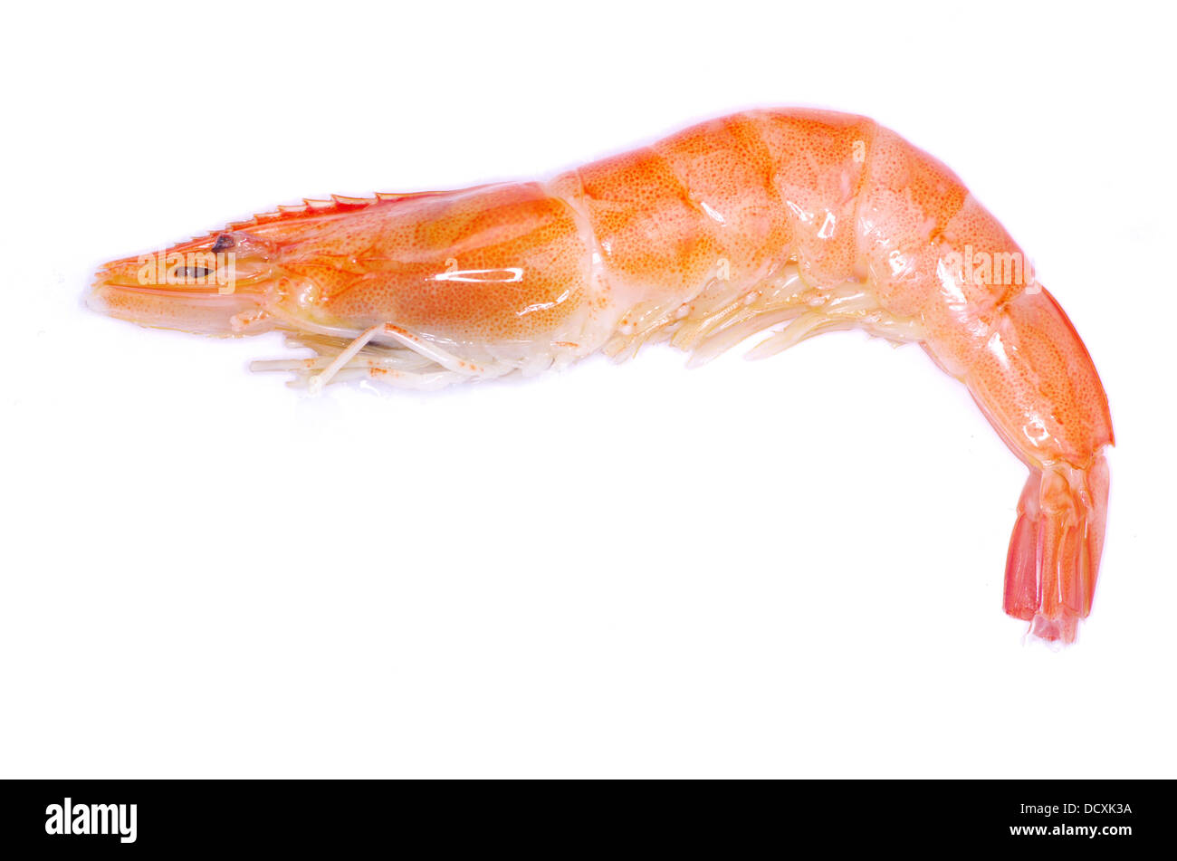 Shrimp with tail cooked hi-res stock photography and images - Alamy