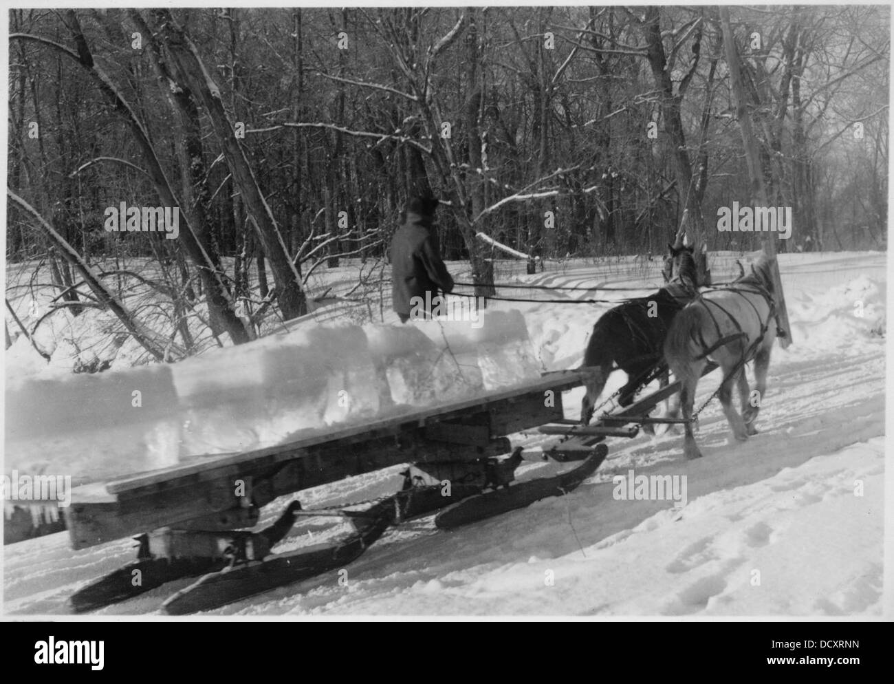 Horse drawn sled hires stock photography and images Alamy
