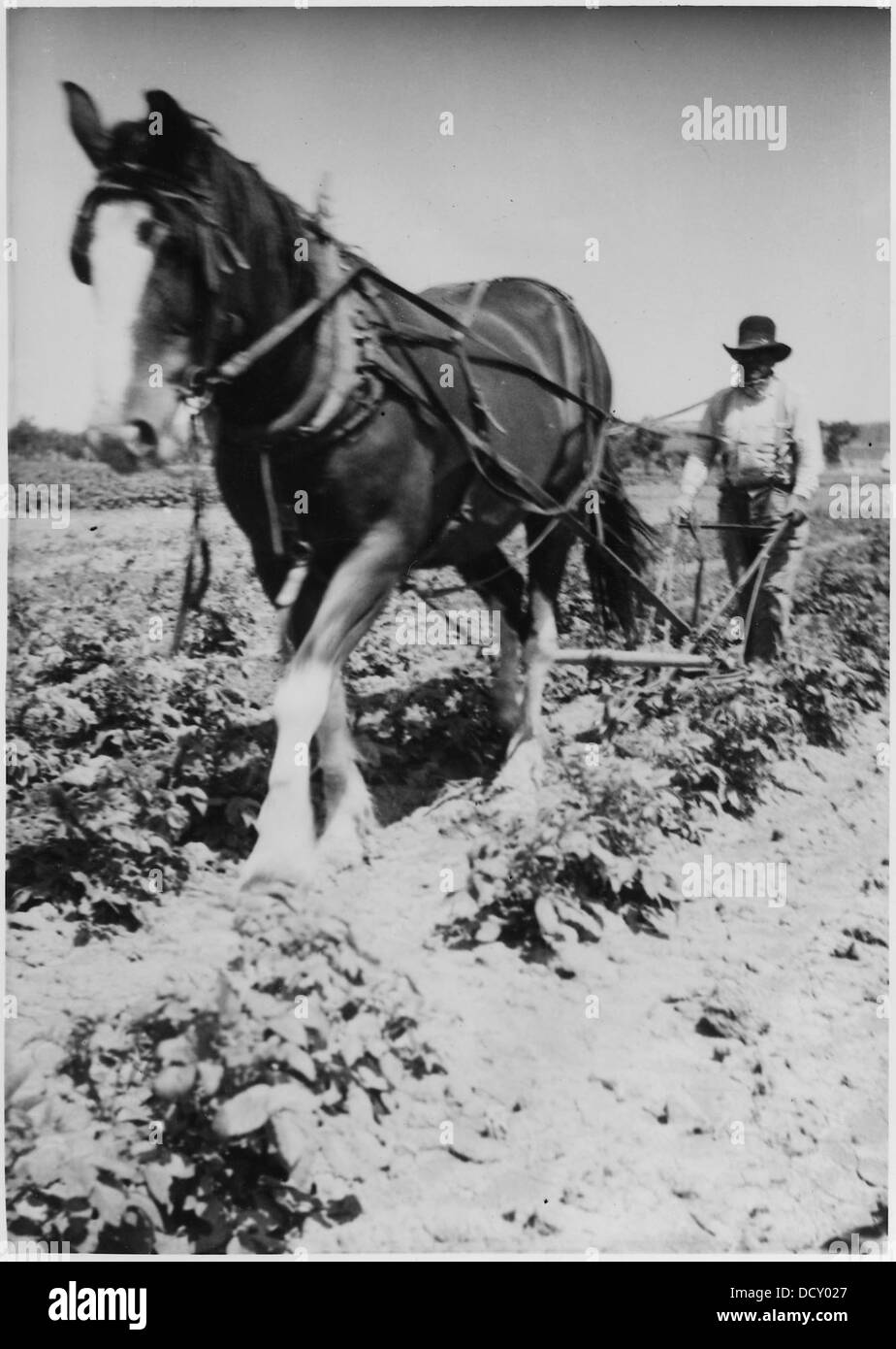 Hand plow Black and White Stock Photos & Images Alamy
