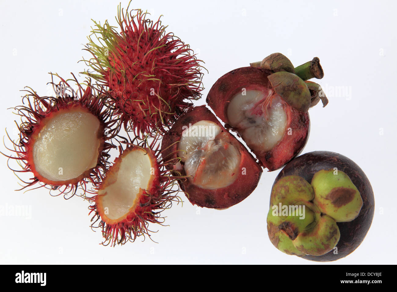 Mangosteen discount