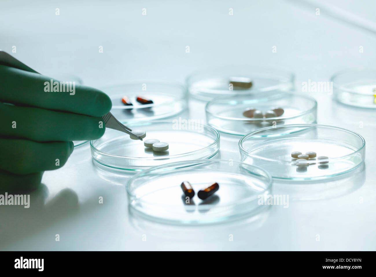 Scientist Holding Pill with Tweezers over Petri Dish Stock Photo